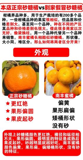 砂糖桔五斤装