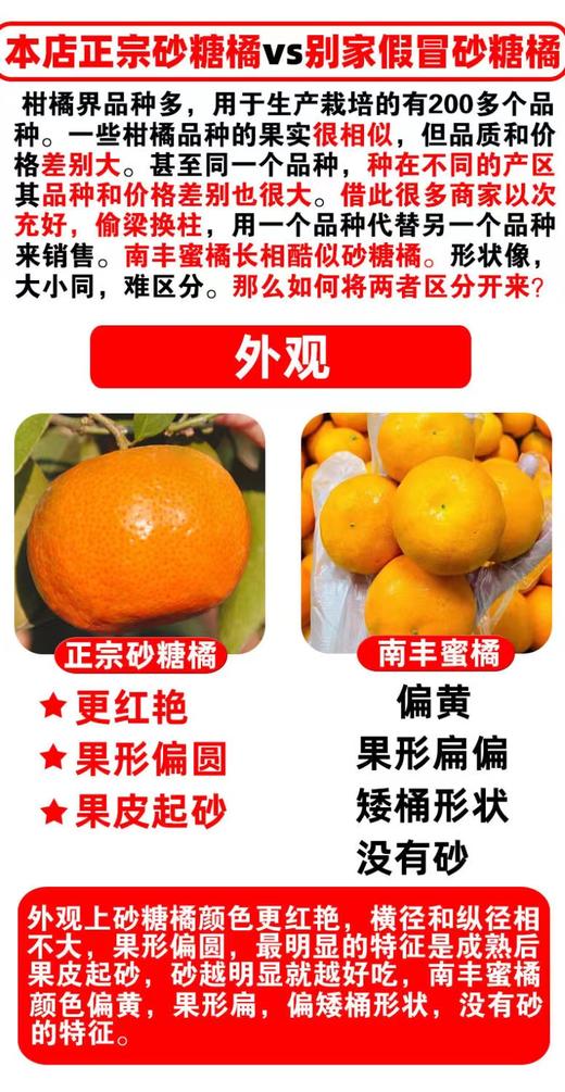 砂糖桔五斤装 商品图0