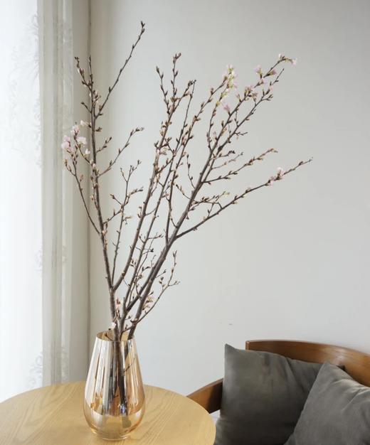 【记忆中的樱花】进口日本樱花  粉色 单枝 商品图0