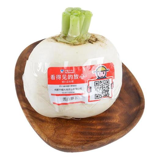 放心圆白萝卜 约400g/份 商品图0