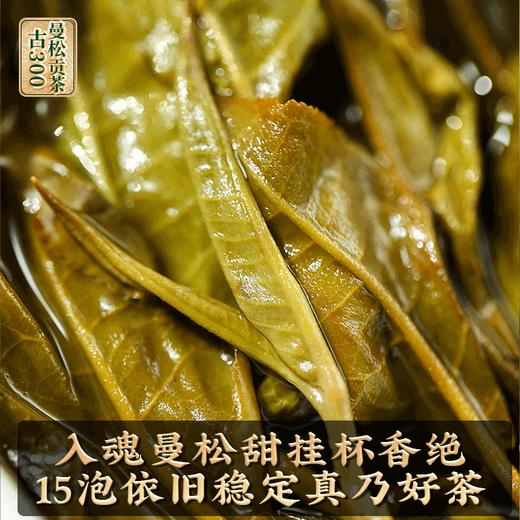 2023春茶 吉顺号古300曼松古树茶普洱茶生茶饼357克/饼 商品图2