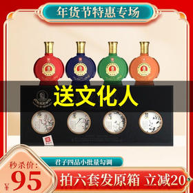 【年货节】王丙乾 开放30年（君子四品）酱香型白酒53度125ml*4瓶