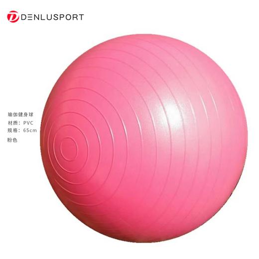 瑜伽健身球65CM加厚防爆磨砂球升级专业瑜伽球多功能形体训练（配打气筒） 商品图2