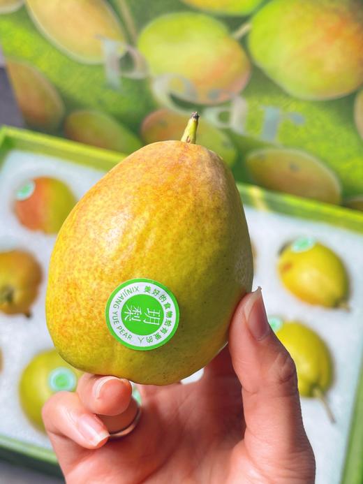 库尔勒香梨五斤家庭装 商品图0