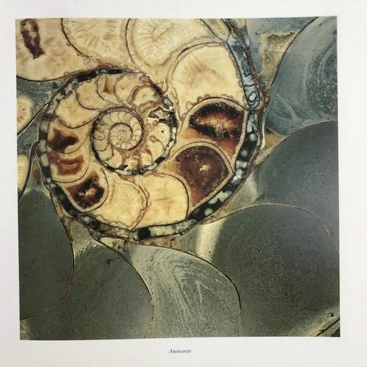 古代微观世界图集 百余幅彩色插图 精装大16开 商品图14