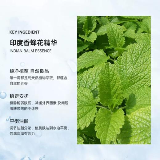 【442元会员福利】暖树·玫瑰纯露100ml*2瓶
 商品图11