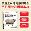 时间序列分析实战：基于机器学习和统计学 数据分析python数据集预测模型深度学习机器学习R语言 商品缩略图0