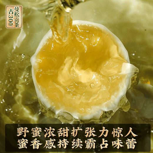 2023春茶 吉顺号古300曼松古树茶普洱茶生茶饼357克/饼 商品图3