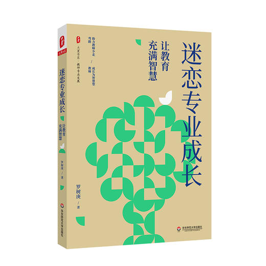 罗树庚 教师发展套装2册 迷恋专业成长+教师如何快速成长  大夏书系 教师专业发展 商品图1