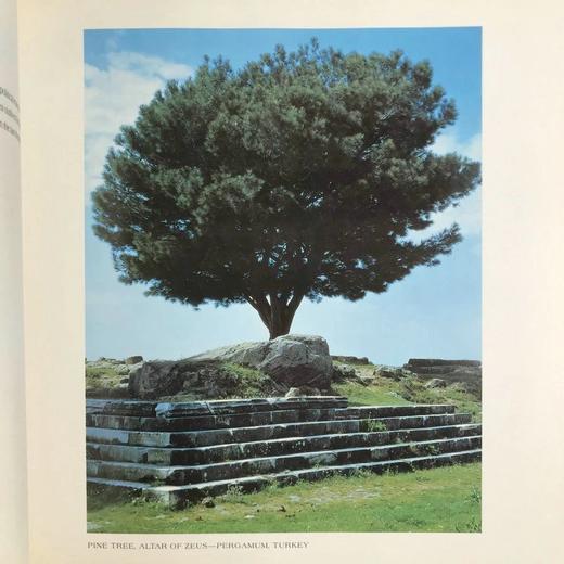 希腊世界图集 129幅插图 精装大16开 商品图6