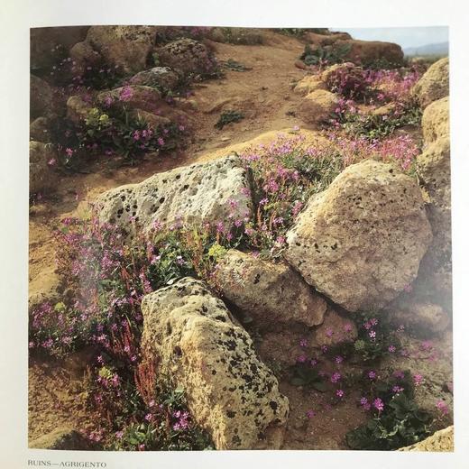 希腊世界图集 129幅插图 精装大16开 商品图8