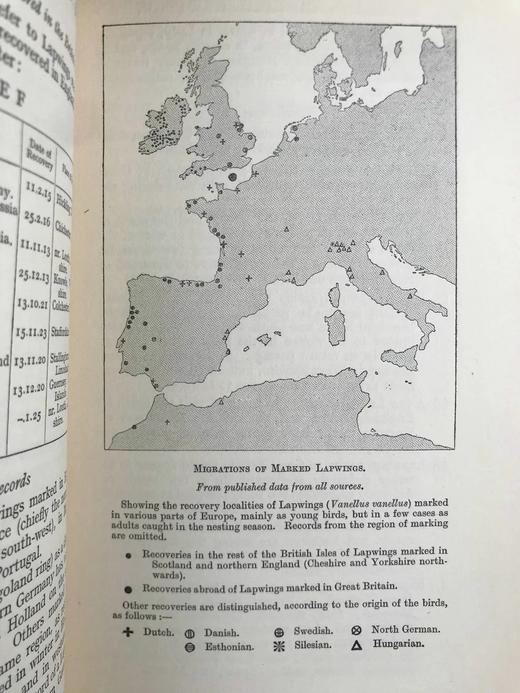 含藏书票！1926年 鸟类迁徙问题 10幅地图 漆布精装大32开 商品图10
