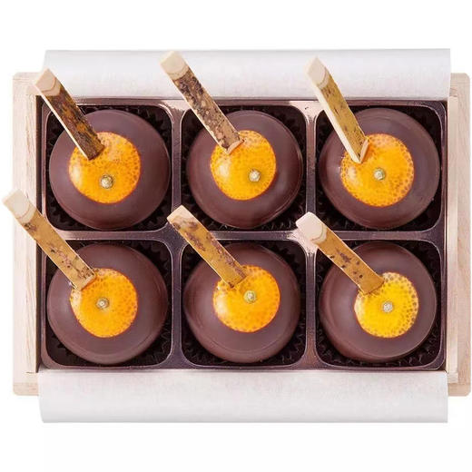 亲子DIY手工活动 通票 商品图1