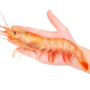 阿根廷红虾L1大号黑盒2kg（T) 商品缩略图1
