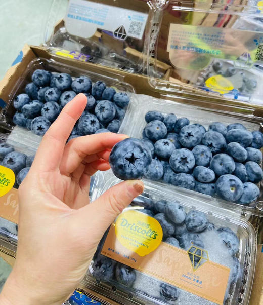 【祖宗蓝莓】怡颗莓钻石蓝莓22+超级无敌巨无霸（200g×8盒） 商品图3