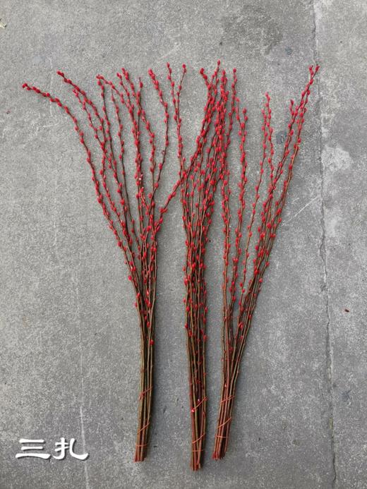 年宵鲜花银柳喜庆花材 商品图9