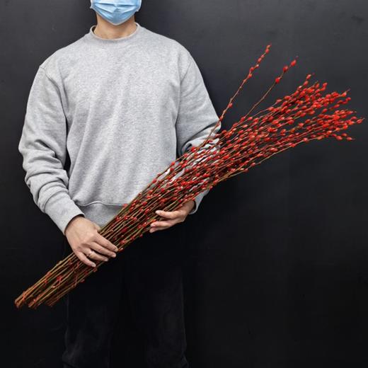 年宵鲜花银柳喜庆花材 商品图1