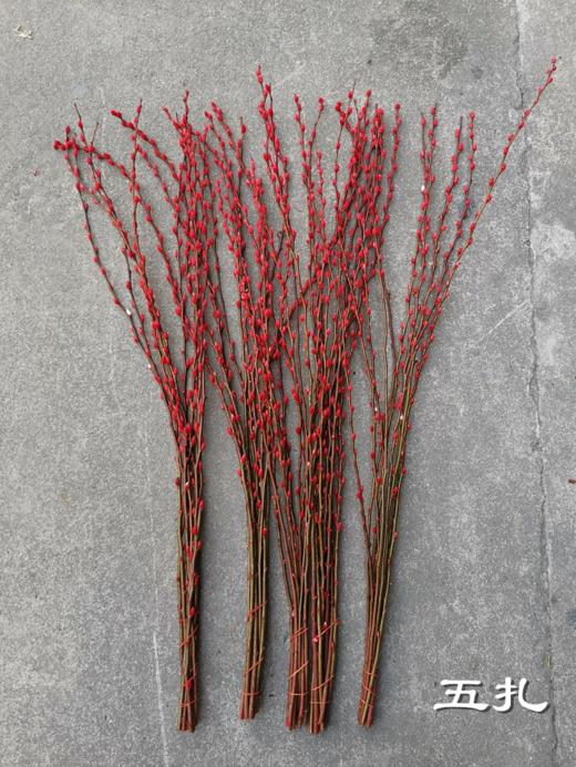 年宵鲜花银柳喜庆花材 商品图10