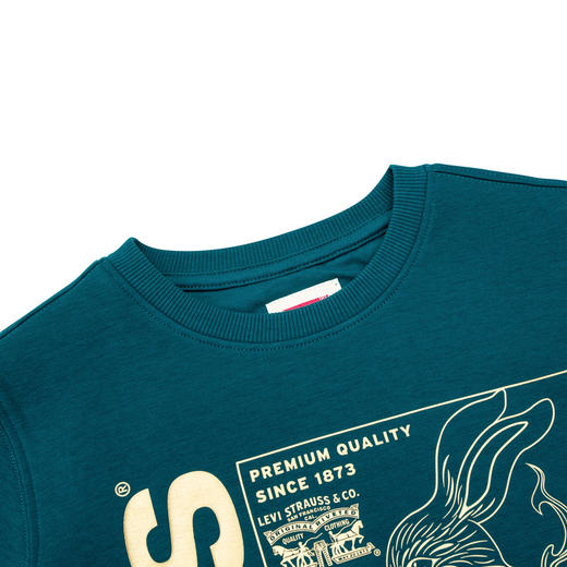 LEVIS 春 大童小童 卫衣 LVB-FW-H409 商品图2