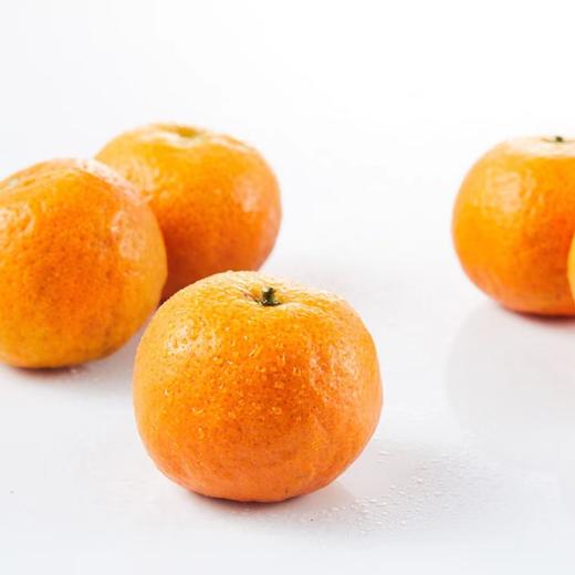 有机砂糖橘（5斤装） 商品图1