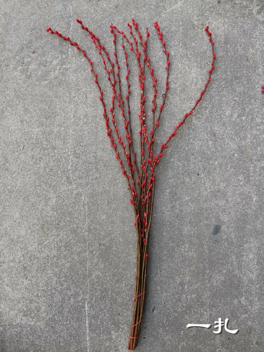 年宵鲜花银柳喜庆花材 商品图8