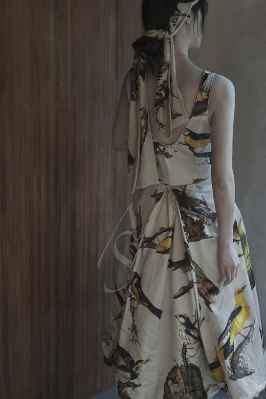 Paul Harnden 飞鸟印花丝质连衣裙 商品图3