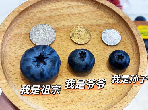 【祖宗蓝莓】怡颗莓钻石蓝莓22+超级无敌巨无霸（200g×8盒） 商品图1