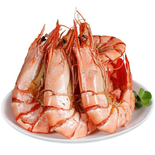 九节虾干500g 商品图2