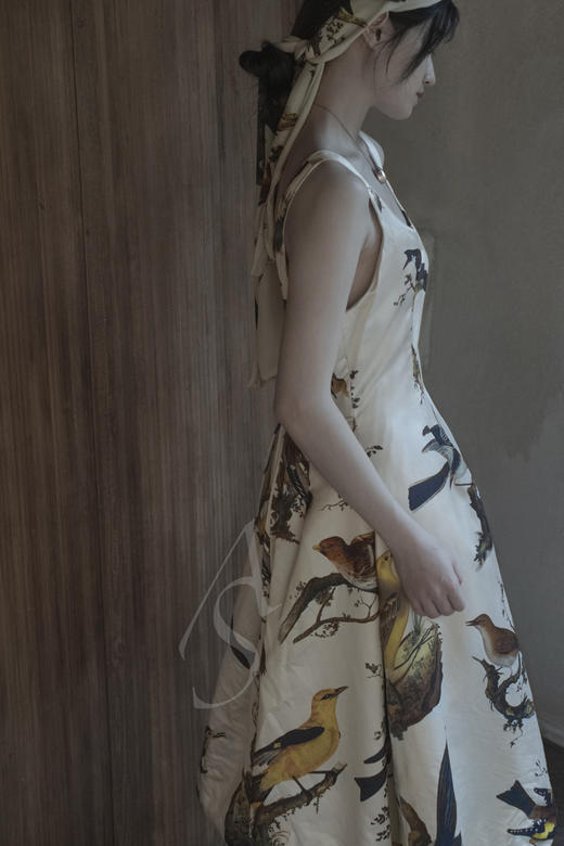 Paul Harnden 飞鸟印花丝质连衣裙 商品图2