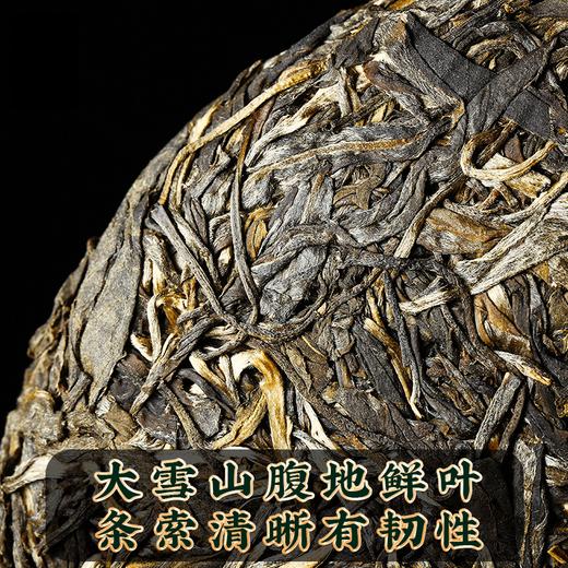 2023春茶 吉顺号古200大雪山普洱茶生茶饼古树生普茶叶357克/饼 商品图2