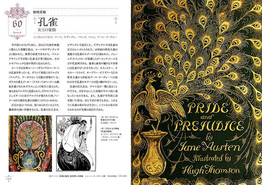 ヨーロッパの装飾と文様 / 欧洲的装饰和花纹 The History of European Ornaments and Motifs  商品图3