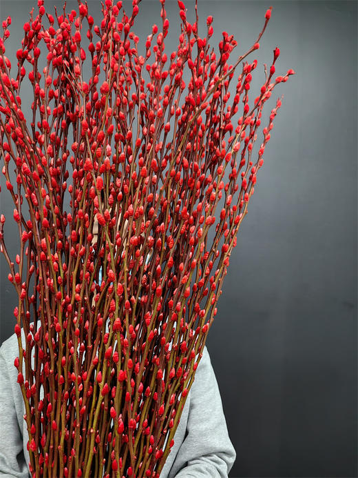 年宵鲜花银柳喜庆花材 商品图4