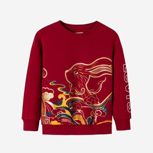 LEVIS 春 大童小童 卫衣 LVN-FW-H408 商品图4