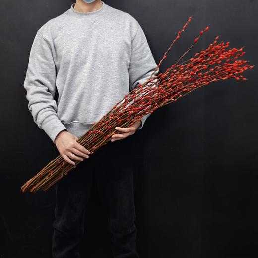 年宵鲜花银柳喜庆花材 商品图2