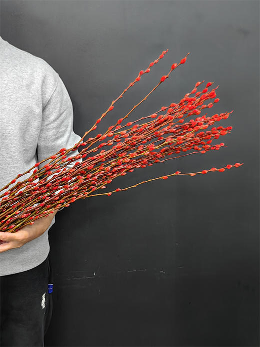 年宵鲜花银柳喜庆花材 商品图3