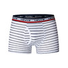 LEVIS 春 大童小童 儿童内裤 LHB-XB-0339 商品缩略图2
