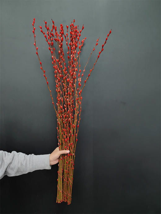 年宵鲜花银柳喜庆花材 商品图5