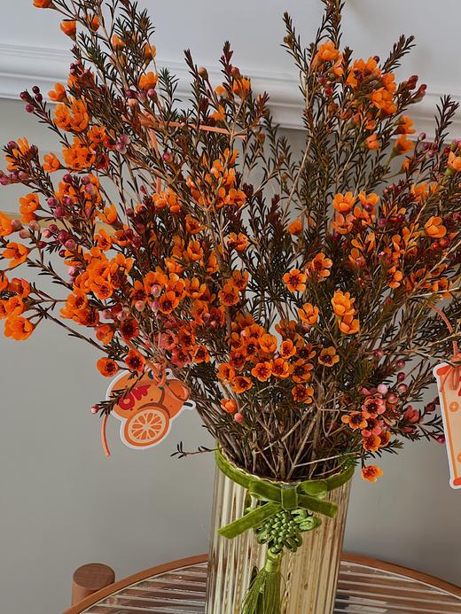 大吉大利 · 腊梅瓶花 商品图1