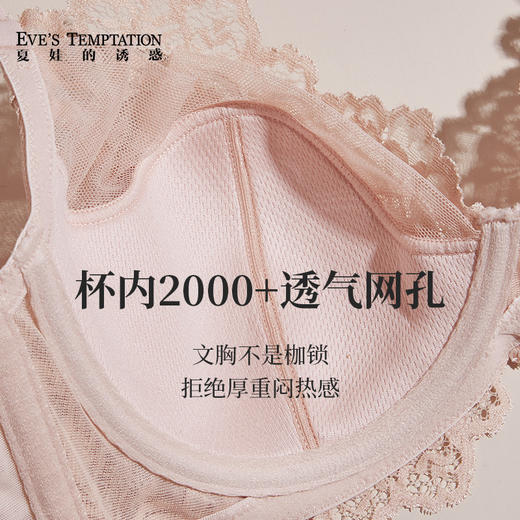 夏娃的诱惑簇蝶组内衣女薄款蕾丝文胸大胸显小胸上托防下垂收副乳 商品图3