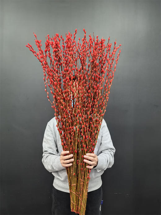 年宵鲜花银柳喜庆花材 商品图0