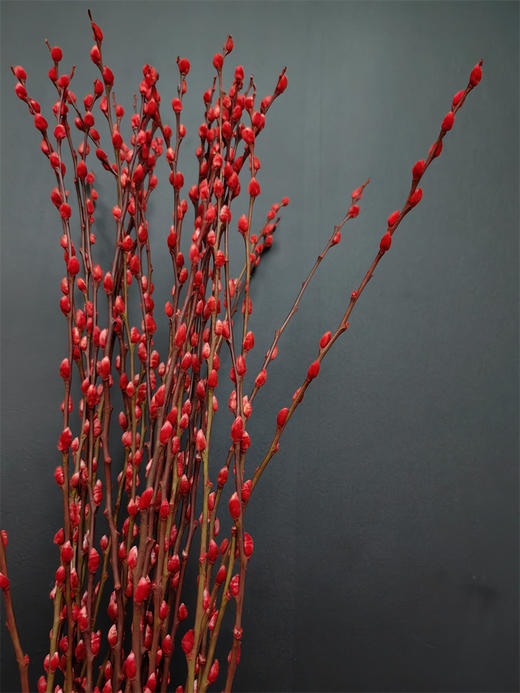 年宵鲜花银柳喜庆花材 商品图6