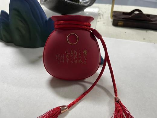 好运暖手宝-张戈（定制案例） 商品图0