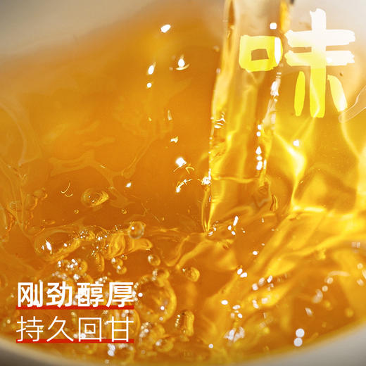 【今日福利】 茶马世家 品饮级生茶 乔木春茶357克 商品图3