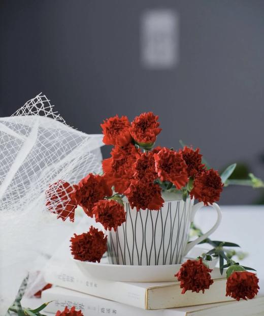 【国产康乃馨】  红色 18-20枝 商品图0