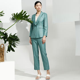 戴布拉芬西服外套L26A115