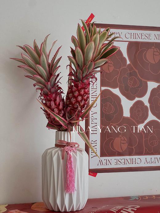 旺来花 招财粉菠萝 · 年宵瓶花 商品图1