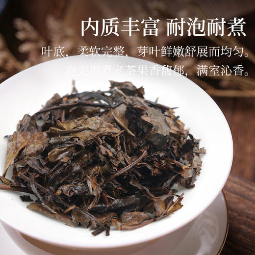 【年份品质款】茶马世家2015年寿眉老白茶太姥山福鼎白茶饼紧压茶叶枣香饼茶350g 商品图4
