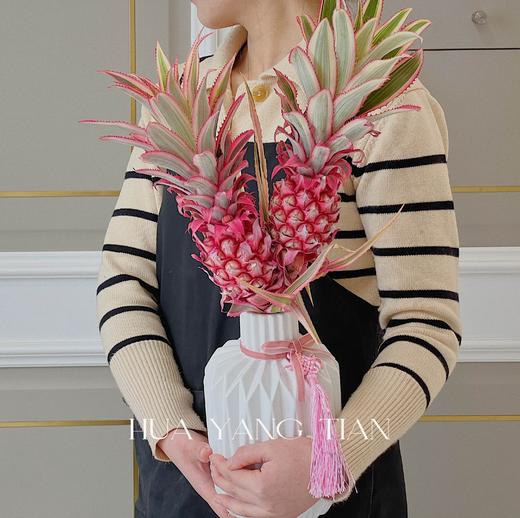 旺来花 招财粉菠萝 · 年宵瓶花 商品图0