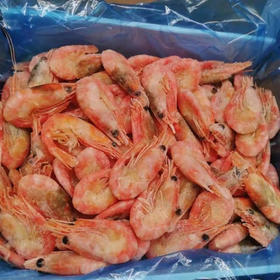 北极甜虾1公斤装（腹籽单熟冻虾）