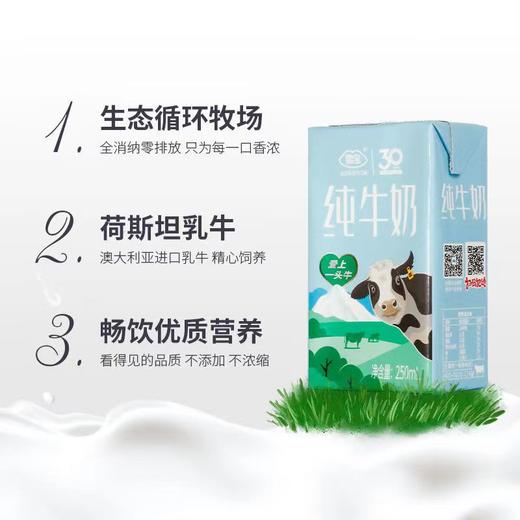 雪宝纯牛奶250ml*24   26816876 商品图1